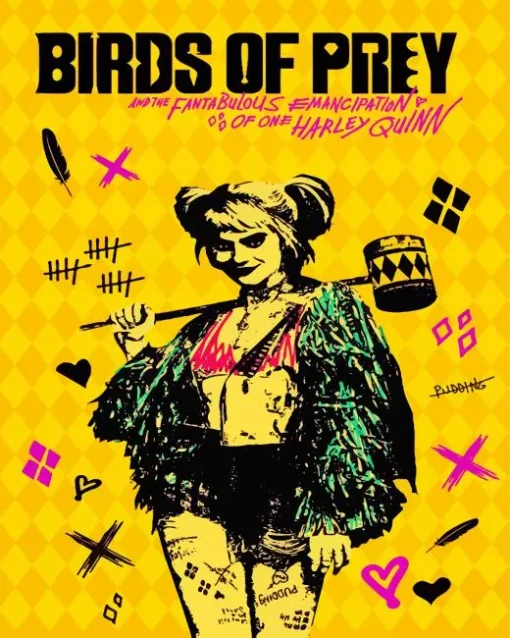 Cool Birds Of Prey Poster Diamond Painting