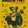 Cool Birds Of Prey Poster Diamond Painting