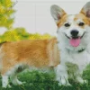 Corgi Pembroke Welsh Diamond Painting