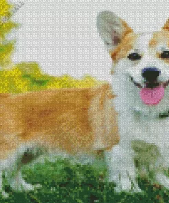 Corgi Pembroke Welsh Diamond Painting