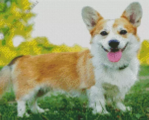 Corgi Pembroke Welsh Diamond Painting