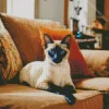 Cozy Siamese Cat On A Couch Diamond Painting