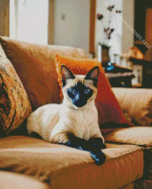 Cozy Siamese Cat On A Couch Diamond Painting