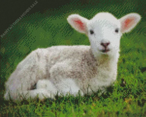 Cute Lamb Diamond Painting