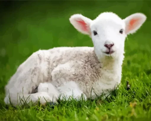 Cute Lamb Diamond Painting