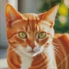 Cute Orange Kitten Diamond Painting