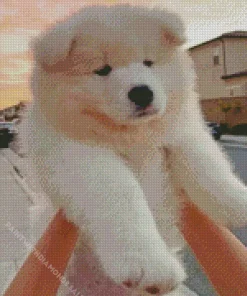 Cute Samoyed Puppy Diamond Painting