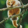 Cute Silky Anteaters Diamond Painting