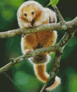 Cute Silky Anteaters Diamond Painting