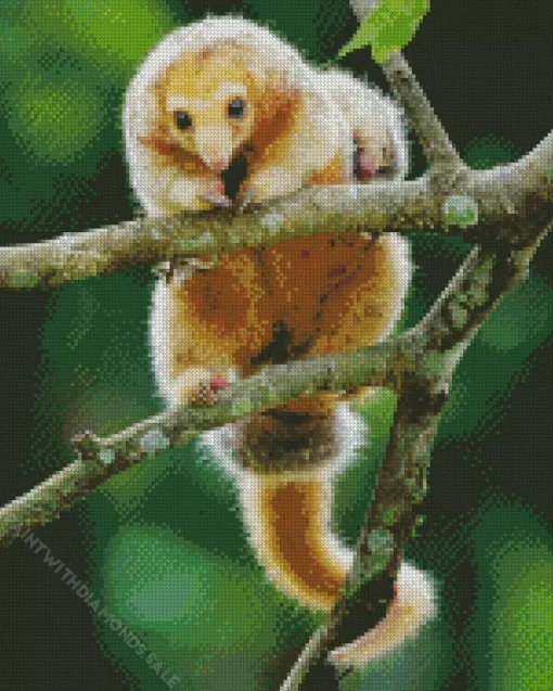 Cute Silky Anteaters Diamond Painting