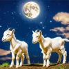 Cute Baby Goats Diamond Painting