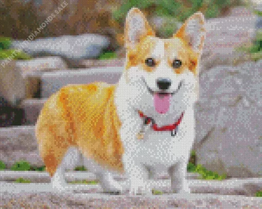 Cute Broke Welsh Corgi Dog Diamond Painting