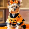 Cute Halloween Yorkshire Terrier Diamond Painting