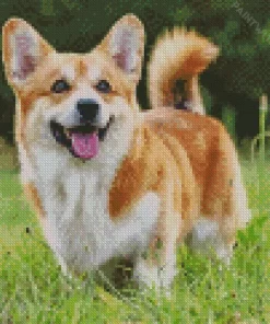 Cute Pembroke Welsh Corgi Dog Diamond Painting