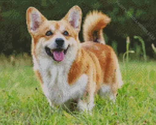 Cute Pembroke Welsh Corgi Dog Diamond Painting