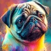 Cute Pug Diamond Painting