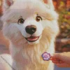 Cute White Samoyed Dog Diamond Painting