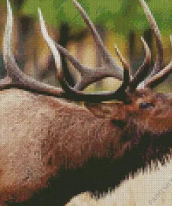 Elk Animal Diamond Painting