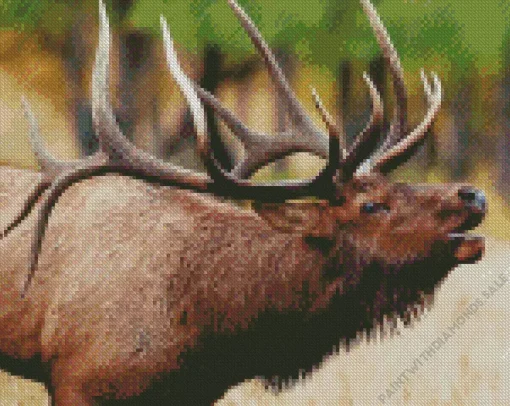 Elk Animal Diamond Painting