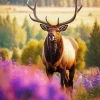 Elk Animal And Purple Flowers Diamond Painting