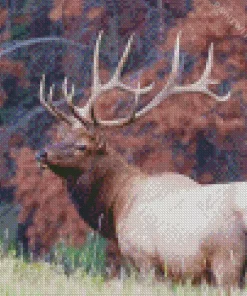 Elk Animal In Nature Diamond Painting