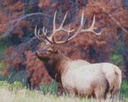 Elk Animal In Nature Diamond Painting