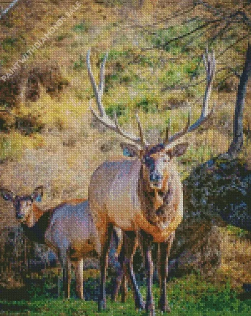 Elk Couple Diamond Painting