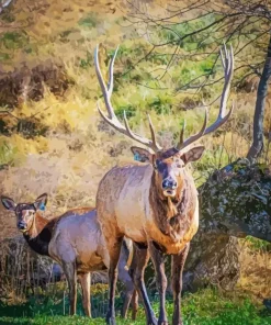 Elk Couple Diamond Painting