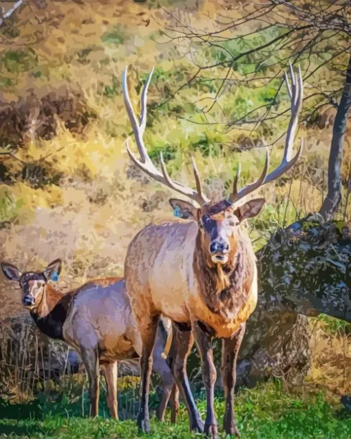 Elk Couple Diamond Painting