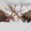 Elk Fighting In Snow Diamond Painting