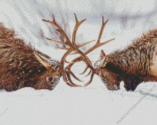 Elk Fighting In Snow Diamond Painting