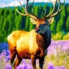 Elk In A Field Of Flowers Diamond Painting