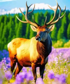 Elk In A Field Of Flowers Diamond Painting