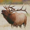 Elk In Rocky Mountain National Park Diamond Painting