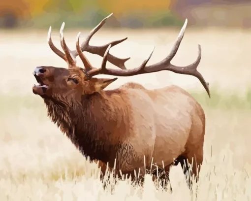 Elk In Rocky Mountain National Park Diamond Painting