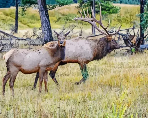 Elk Pair Diamond Painting