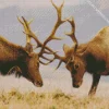 Elk Wildlife Diamond Painting