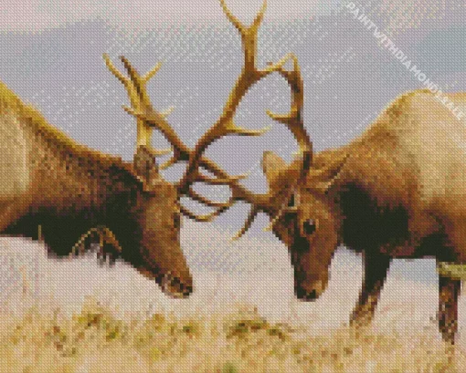 Elk Wildlife Diamond Painting