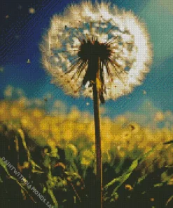 Fluffy Dandelion Diamond Painting