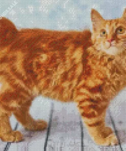 Fluffy Orange Cat Diamond Painting