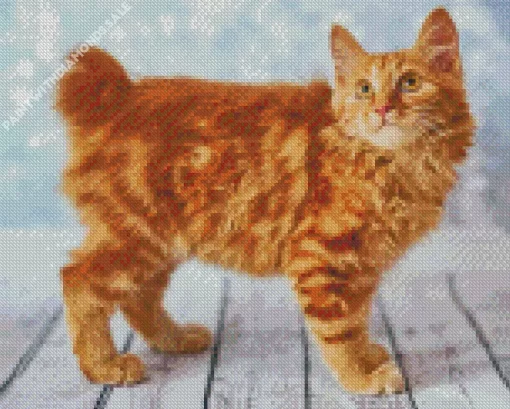 Fluffy Orange Cat Diamond Painting