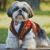 Fluffy Shih Tzu Diamond Painting