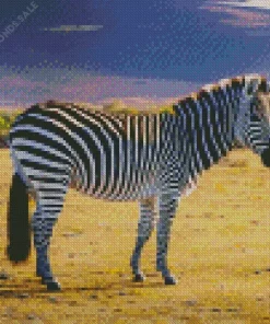 Fluffy Zebra Diamond Painting