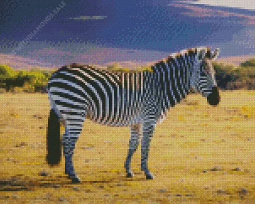 Fluffy Zebra Diamond Painting