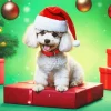 Fluffy Christmas Bichon Frise Diamond Painting