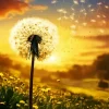 Flying Dandelions Diamond Painting