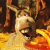 Funny Donkey Diamond Painting