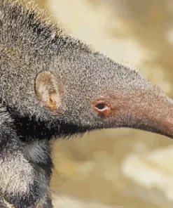 Giant Anteater Diamond Painting