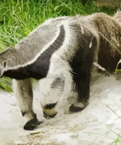 Giant Anteater Animal Diamond Painting