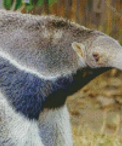 Giant Anteater Close up Diamond Painting